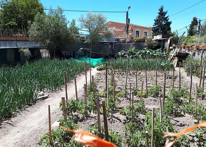 House Contu1000 Apartament *