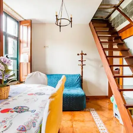 Apartmán House Contu1000