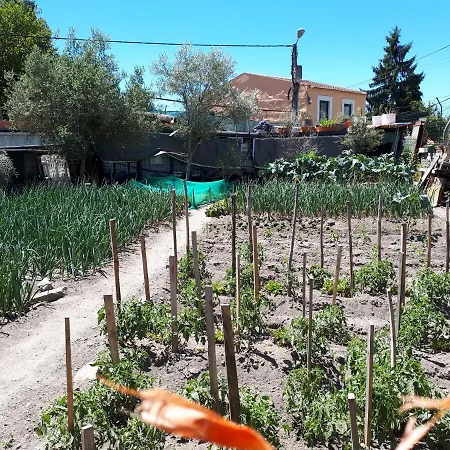 House Contu1000 Apartmán *